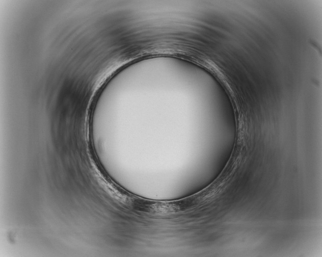 X0000100870795200807071101