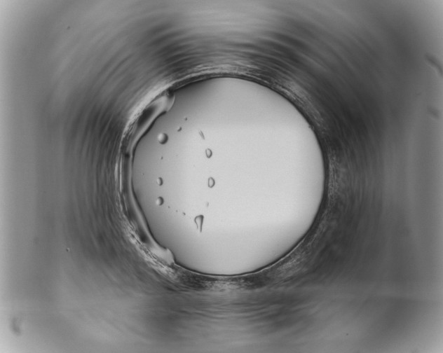 X0000100870796200807071101