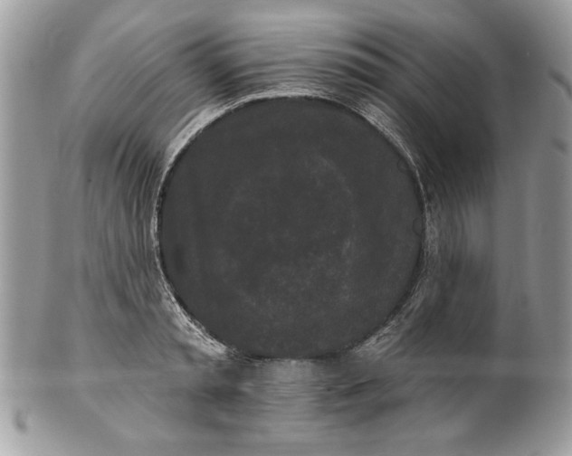 X0000100870797200807071101