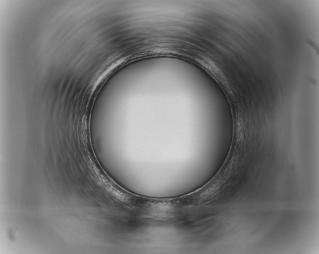 X0000100870798200807071101