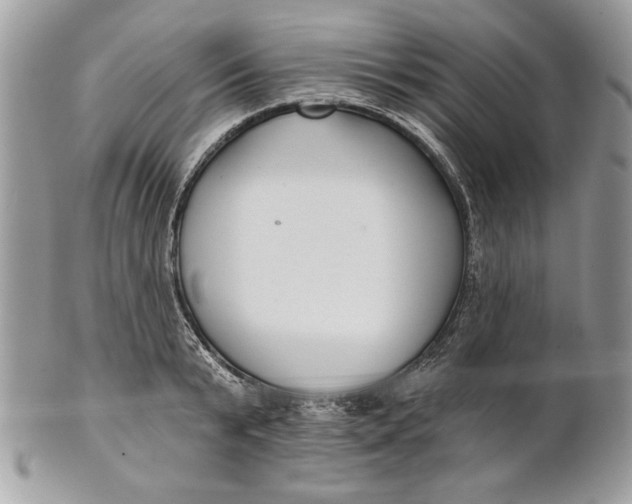 X0000100870799200807071101