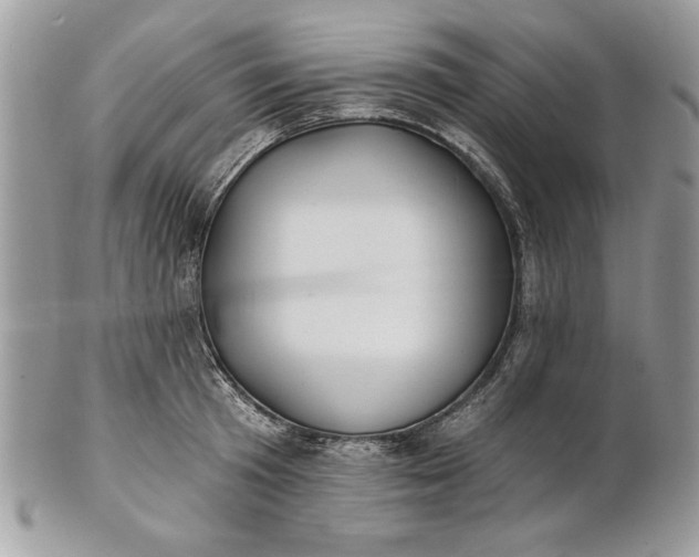 X0000100870801200807071101