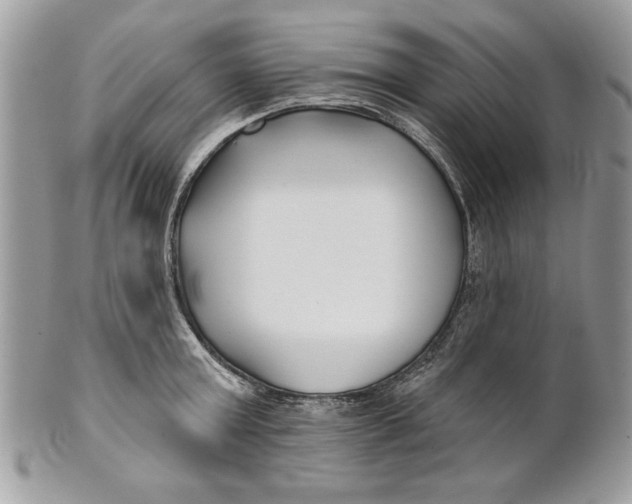 X0000100870803200807071101