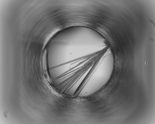 X0000100870804200807071101