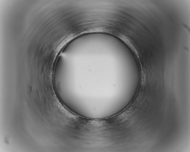 X0000100870805200807071101