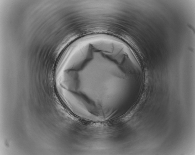 X0000100870806200807071101