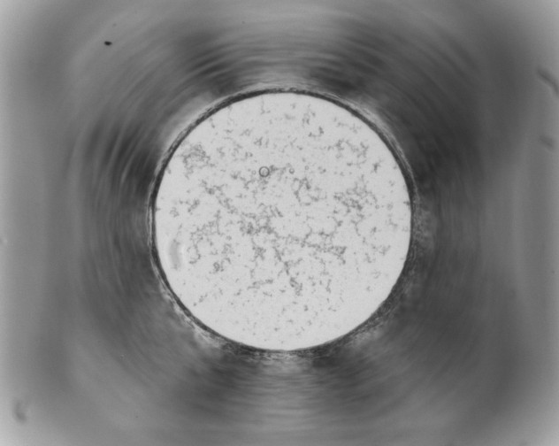 X0000100870807200807071101