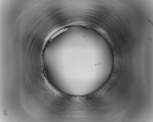 X0000100870808200807071101