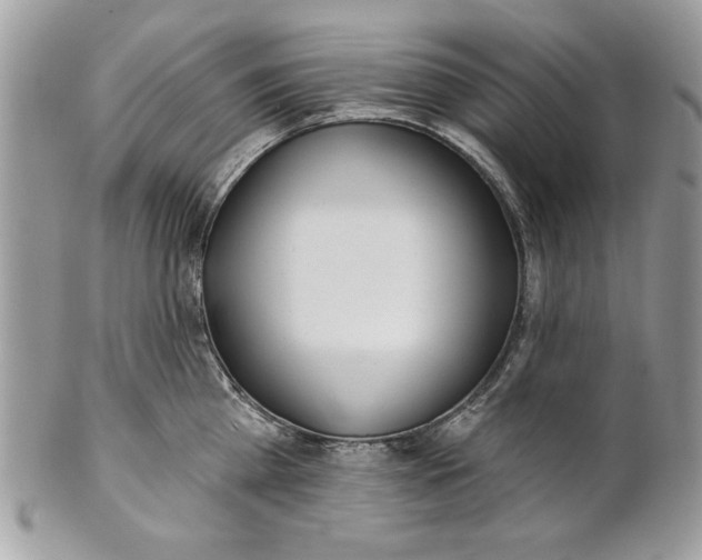 X0000100870809200807071101