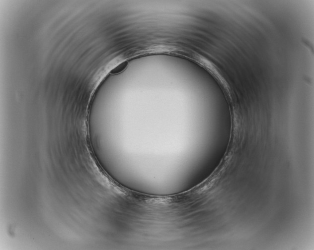 X0000100870810200807071101