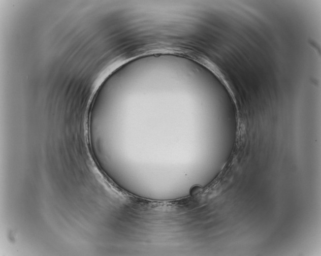 X0000100870811200807071101