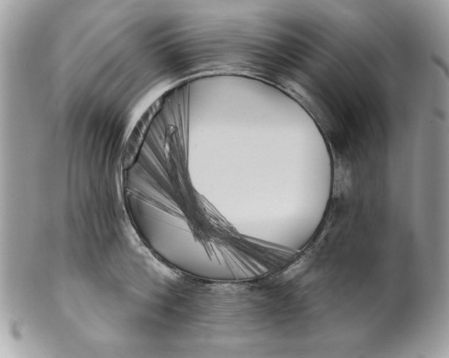 X0000100870812200807071101