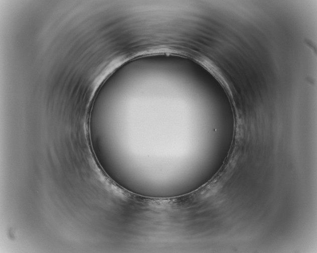 X0000100870813200807071101