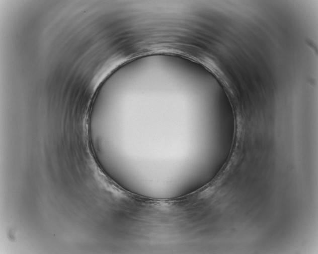 X0000100870814200807071101