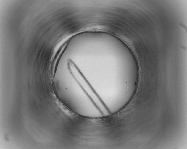 X0000100870816200807071101