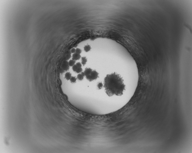 X0000100870817200807071100