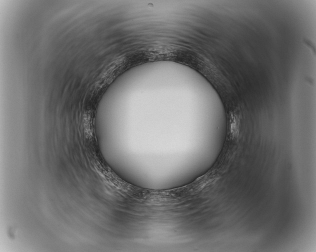 X0000100870819200807071100