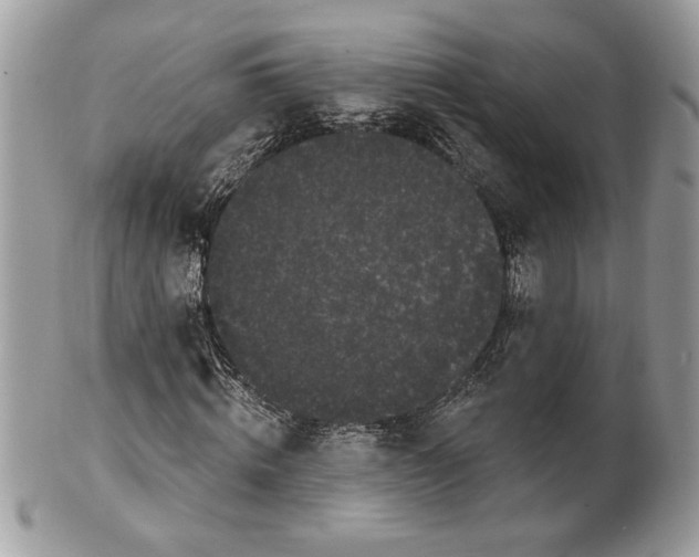 X0000100870820200807071100