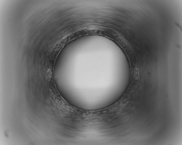 X0000100870821200807071100