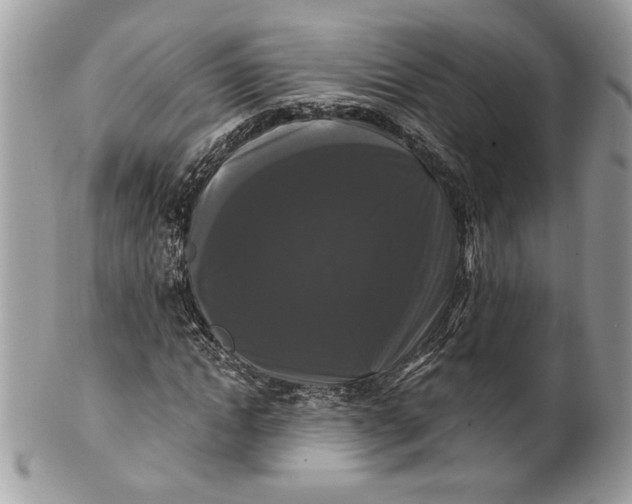 X0000100870822200807071100