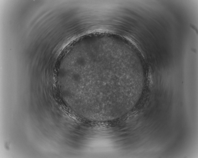 X0000100870823200807071100