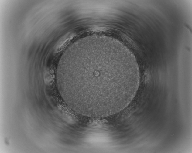 X0000100870824200807071100