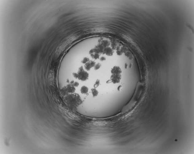 X0000100870825200807071100