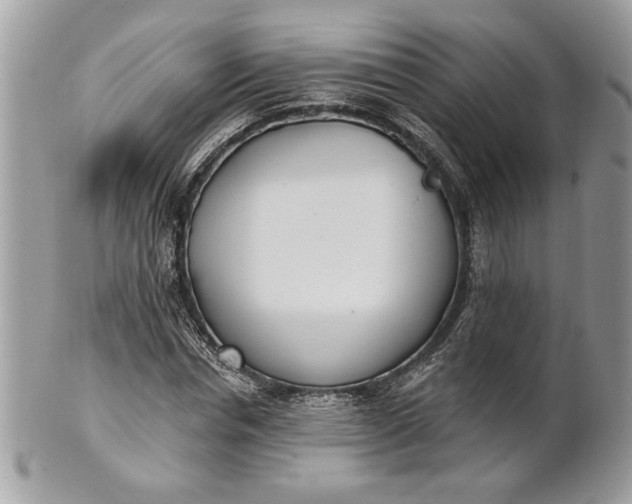 X0000100870826200807071100