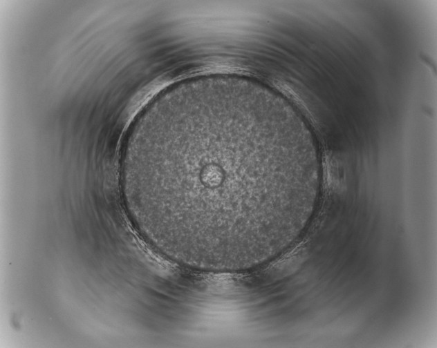 X0000100870828200807071100