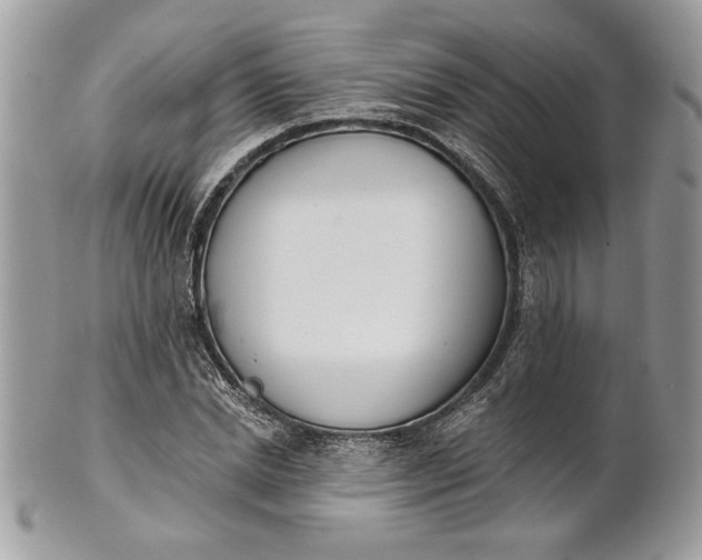 X0000100870830200807071100