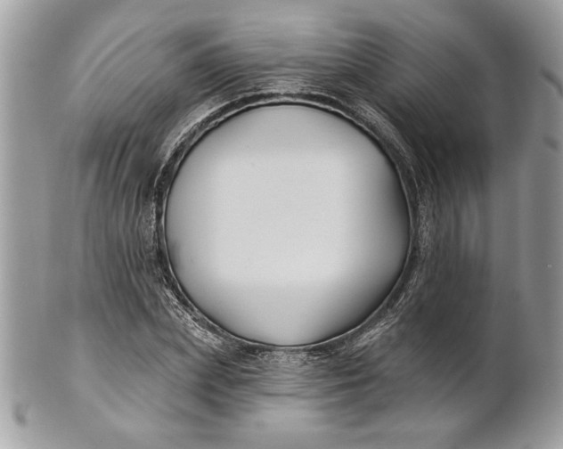 X0000100870831200807071101