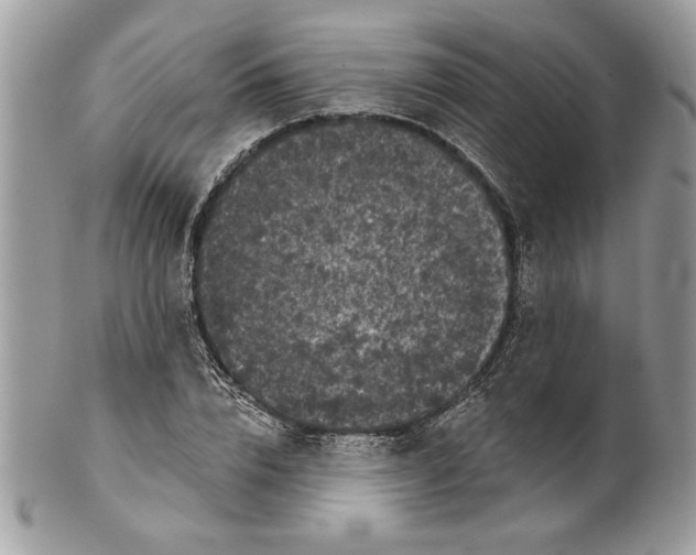 X0000100870832200807071101