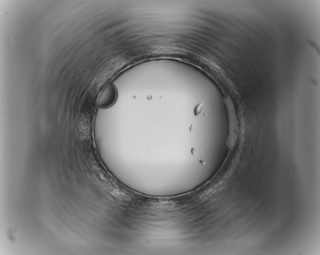 X0000100870833200807071101