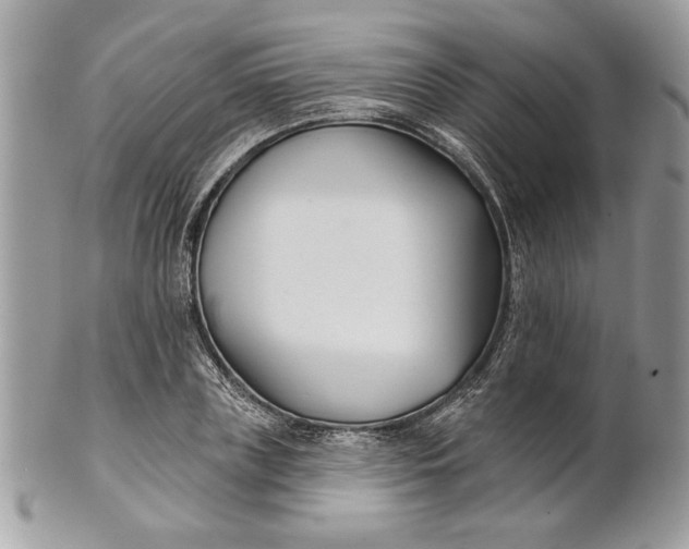 X0000100870835200807071101