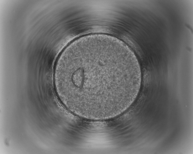 X0000100870836200807071101