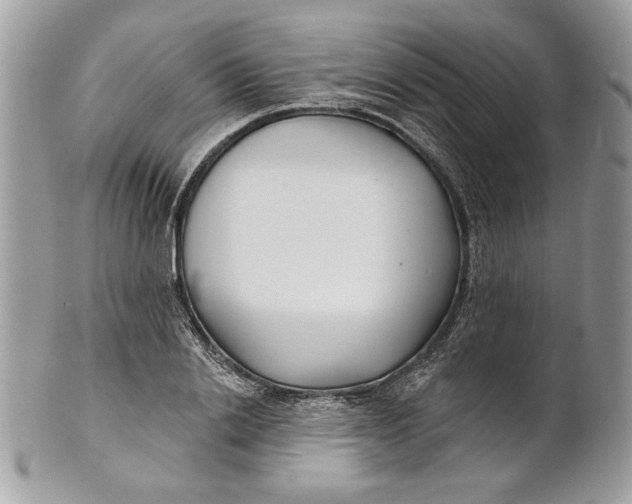 X0000100870838200807071101