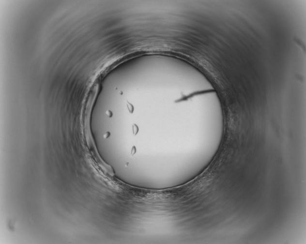 X0000100870840200807071101