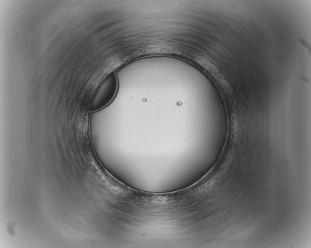 X0000100870841200807071101