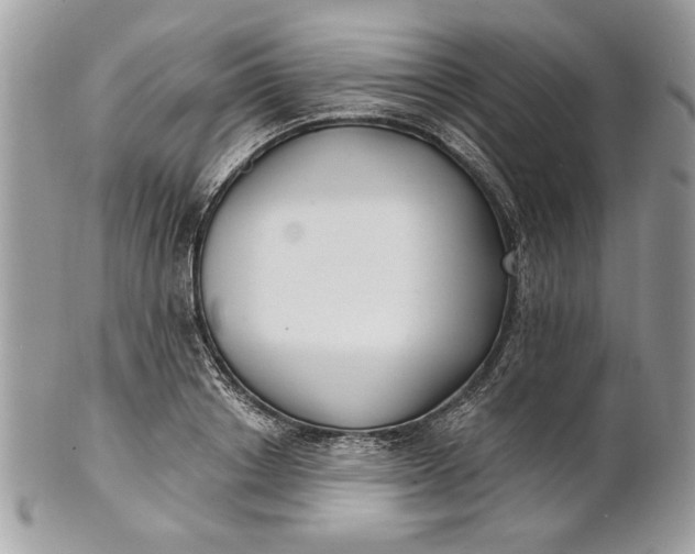 X0000100870842200807071101