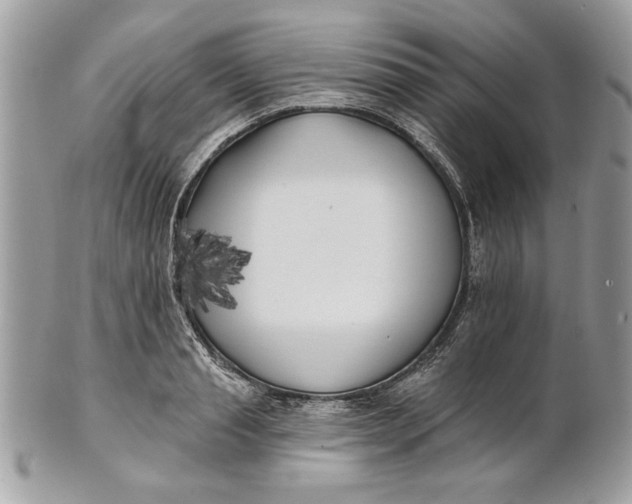 X0000100870845200807071101