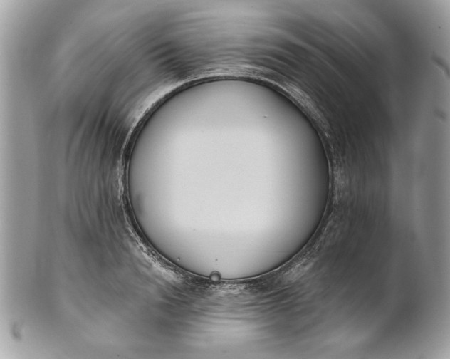 X0000100870846200807071101