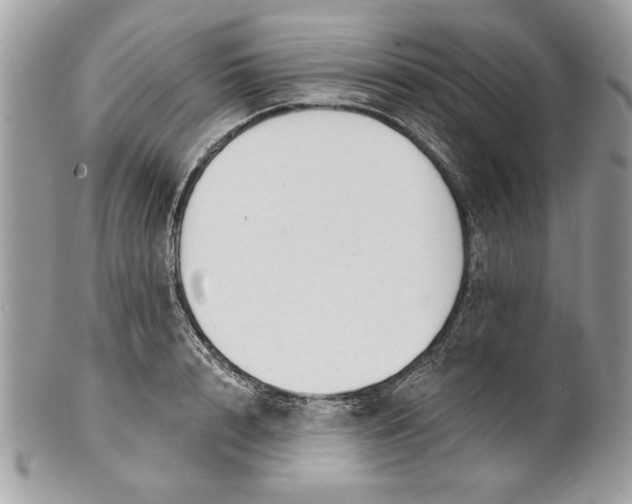 X0000100870848200807071101