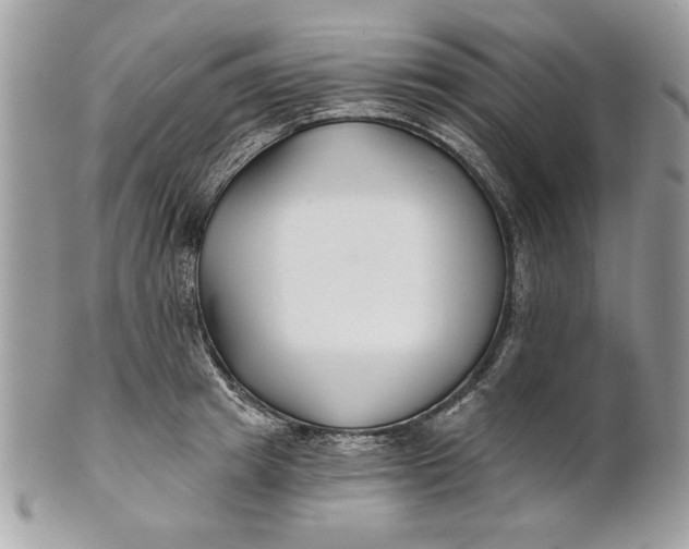 X0000100870849200807071101