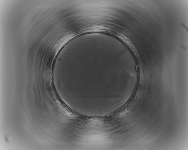 X0000100870850200807071101