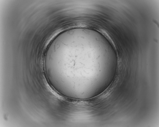 X0000100870851200807071101