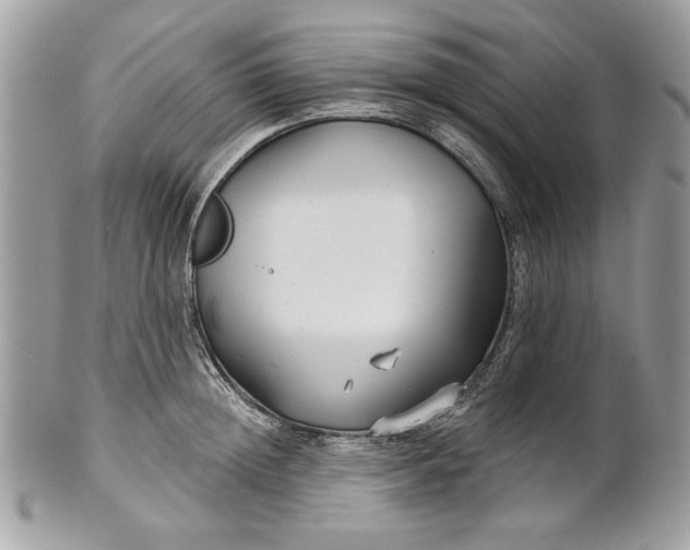 X0000100870852200807071101