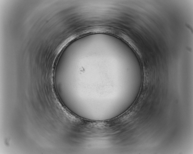 X0000100870853200807071101