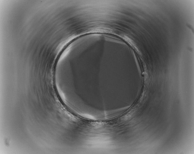 X0000100870854200807071101