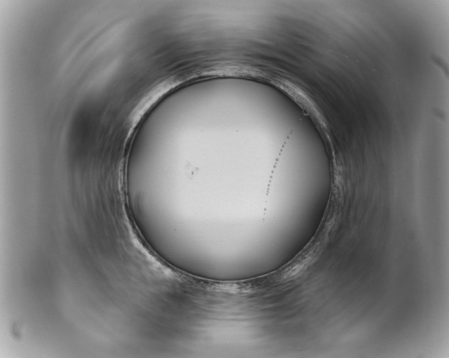 X0000100870855200807071101