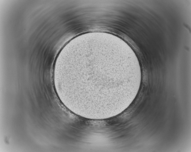 X0000100870856200807071101